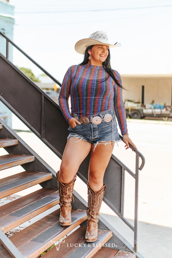 Retro Stripe Printed Long Sleeve Mesh Top