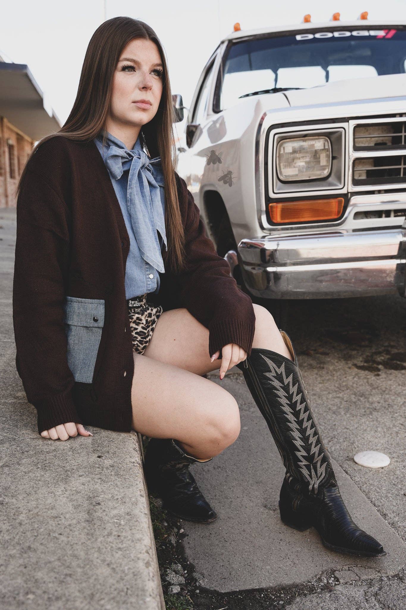CATTLE BABE *ANGUS